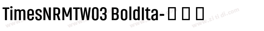 TimesNRMTW03 BoldIta字体转换